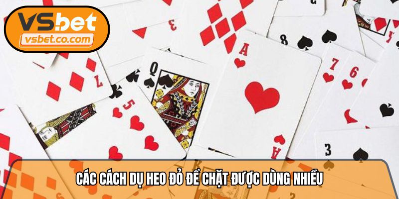 Cách dụ heo đỏ để chặt